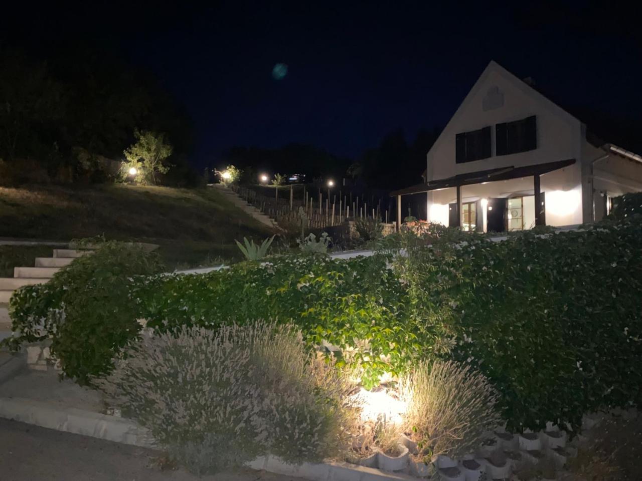 Borbora Borhaz Villa Vászoly Esterno foto