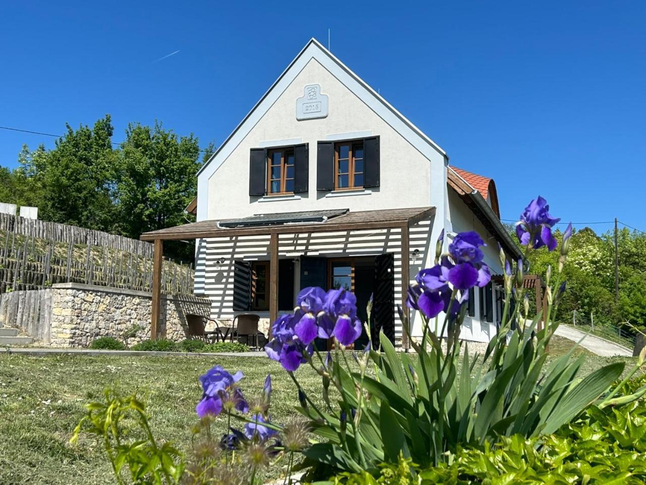 Borbora Borhaz Villa Vászoly Esterno foto